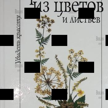 "Увидеть красоту: Картины из цветов и листьев" Зубков Р. - Biblion.shop