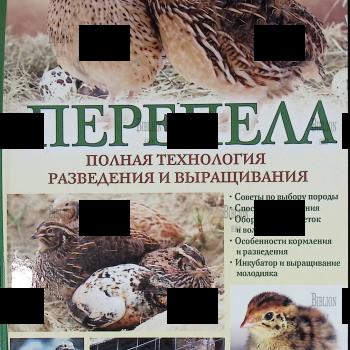 "Перепела. Полная технология разведения и выращивания" Энн-Кэтрин Гомрингер - Biblion.shop