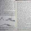 " Учебник психологии" (Для гимназий и самообразования) Челпанов Г. И.  1912 г (Прижизненное издание) - Biblion.shop 
