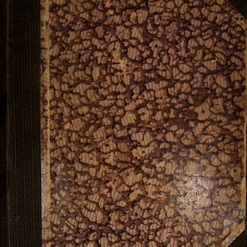 "Среди художников" В.В. Розанов (1914 г) - Biblion.shop 